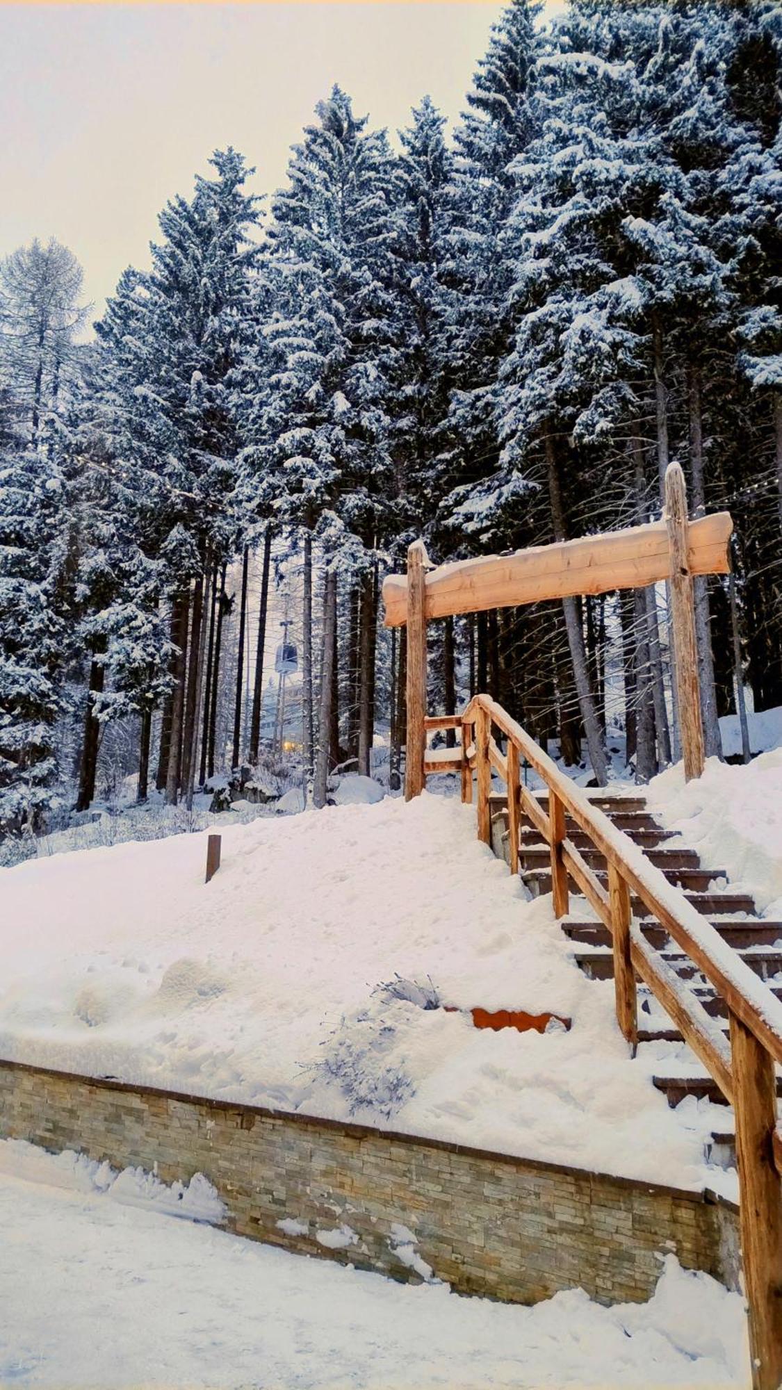Ale 1206, Marilleva 1400 Accesso Diretto Alle Piste Екстериор снимка